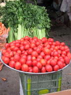 Image of tomato