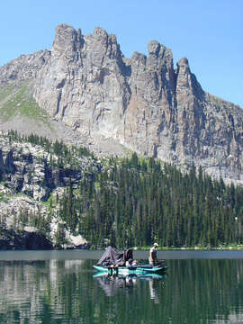 Image of cutthroat trout