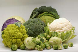 Image of sprouting broccoli
