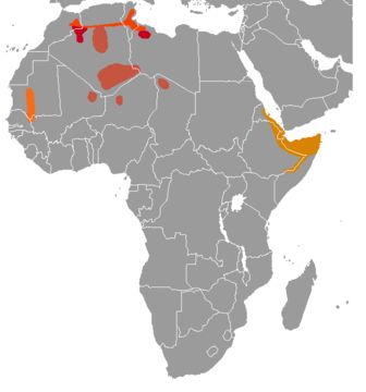 Map of gundis