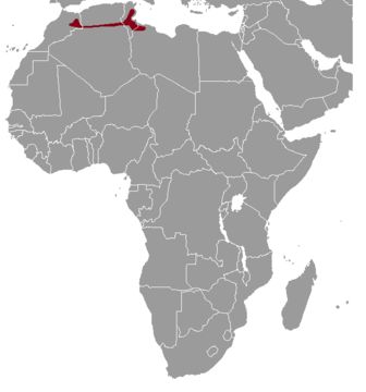 <span class="translation_missing" title="translation missing: en.medium.untitled.map_image_of, page_name: Common Gundi">Map Image Of</span>