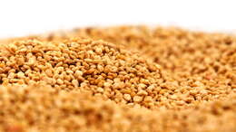 Image of quinoa