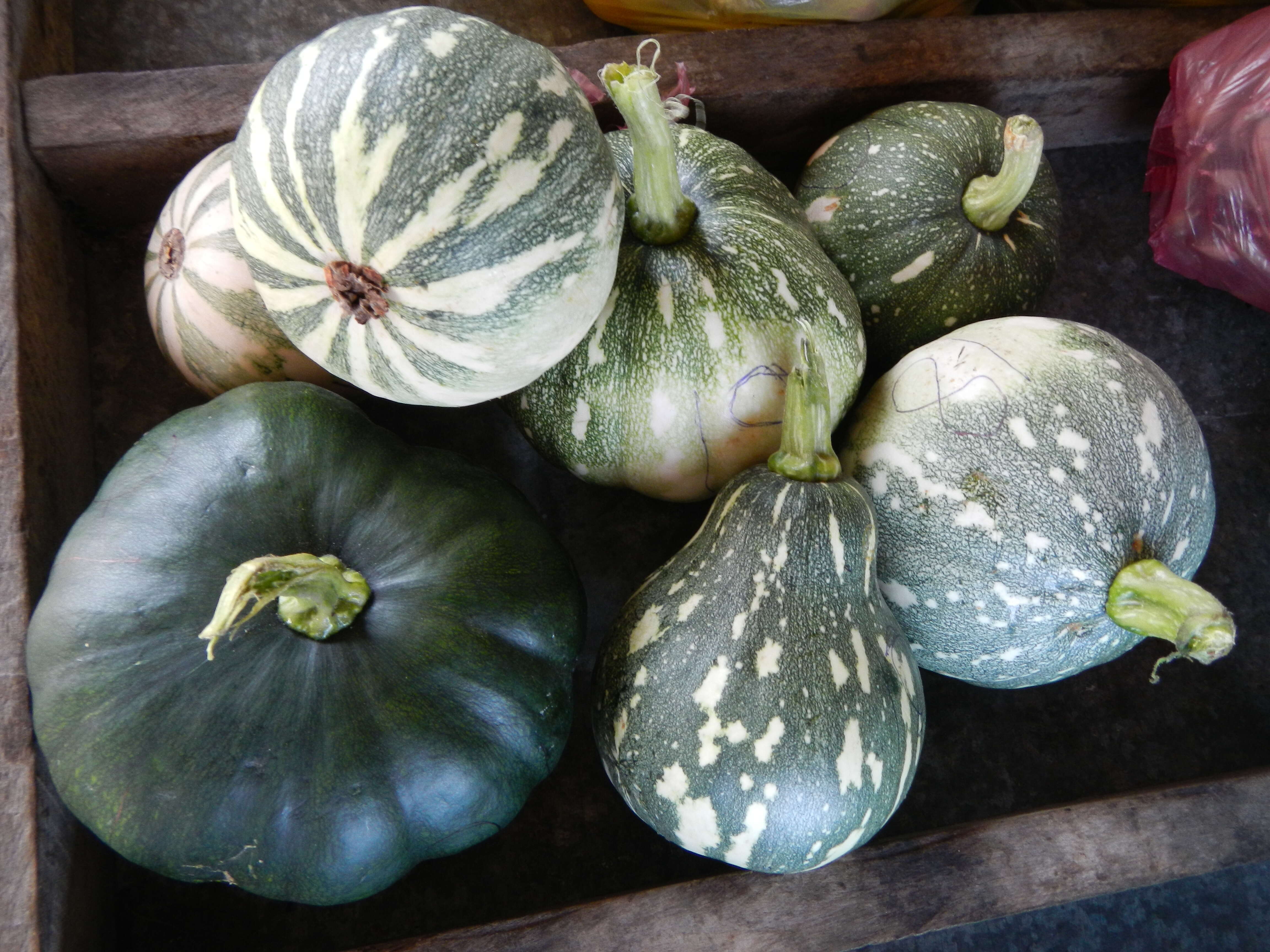 Image of Butternut Pumpkin