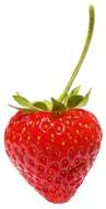 Image of strawberry