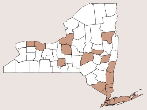 <span class="translation_missing" title="translation missing: en.medium.untitled.map_image_of, page_name: border privet">Map Image Of</span>