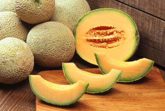 Image of Cucumis melo var. cantalupensis