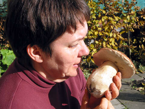 Image of Cep