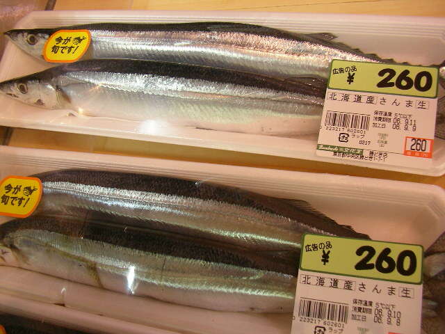 Image of Pacific saury