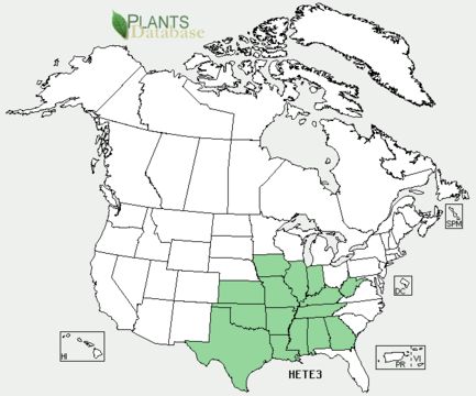 <span class="translation_missing" title="translation missing: en.medium.untitled.map_image_of, page_name: pasture heliotrope">Map Image Of</span>