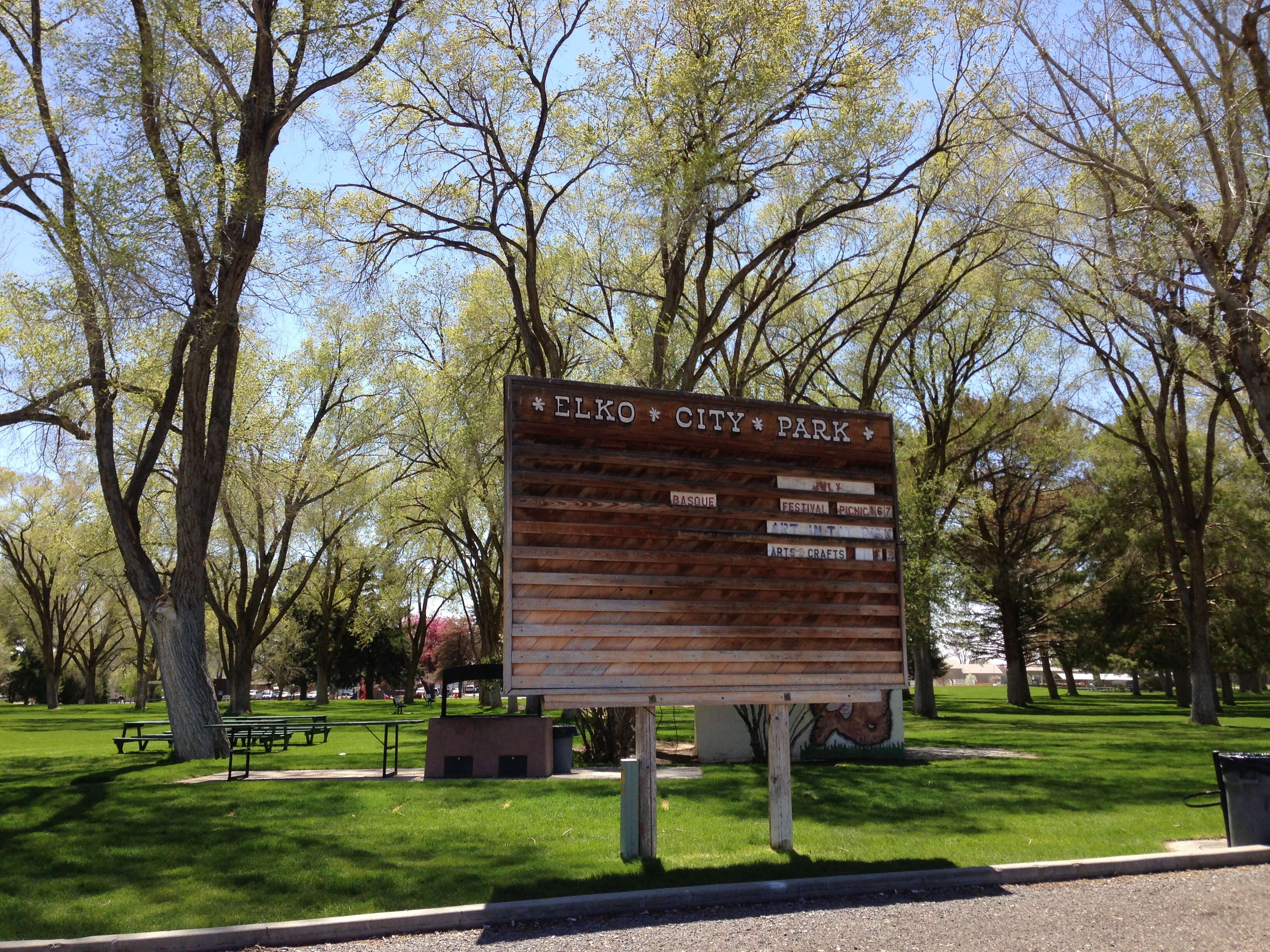 Image of Siberian Elm