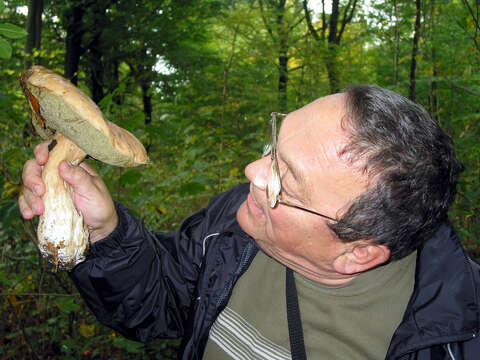 Image of Cep