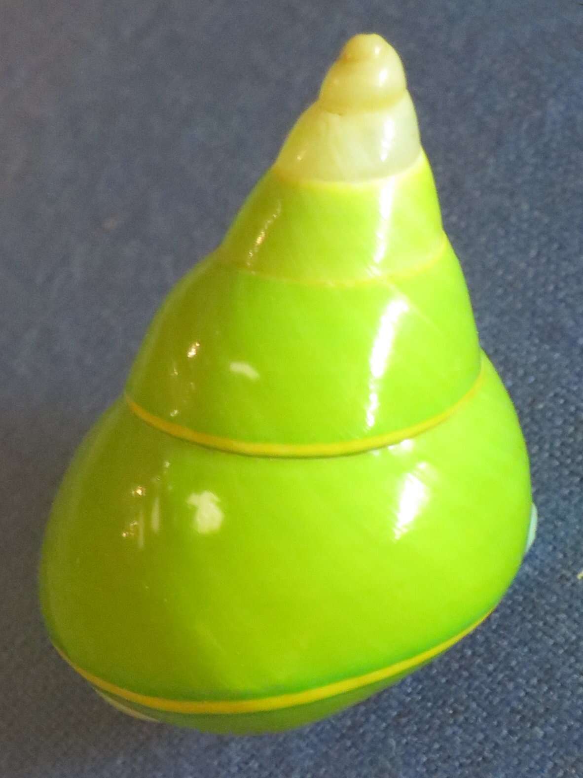 Image of Emerald Green Snail