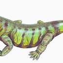 Слика од Rhipaeosauridae