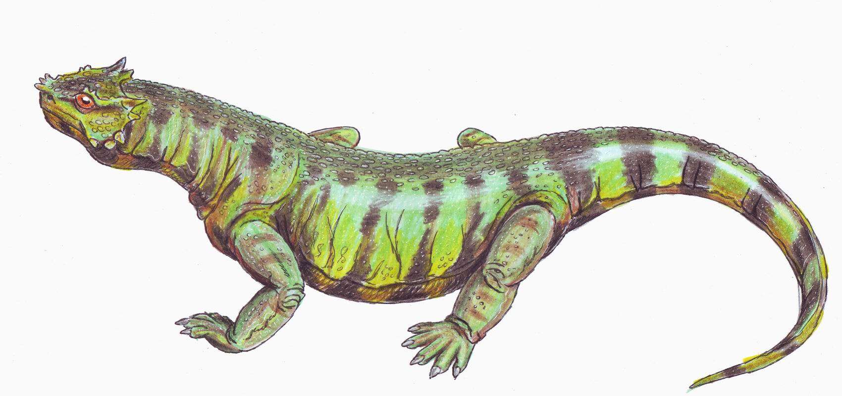Image of Rhipaeosauridae