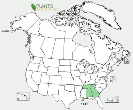<span class="translation_missing" title="translation missing: en.medium.untitled.map_image_of, page_name: <i>Xyris tennesseensis</i> Kral">Map Image Of</span>