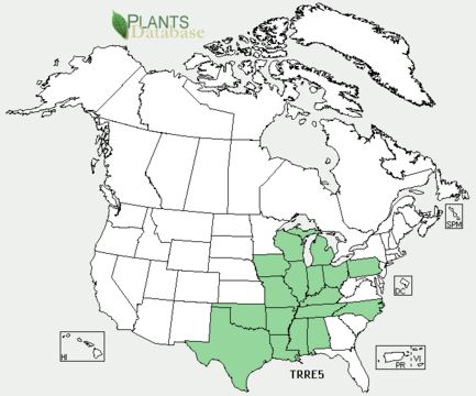 <span class="translation_missing" title="translation missing: en.medium.untitled.map_image_of, page_name: prairie trillium">Map Image Of</span>