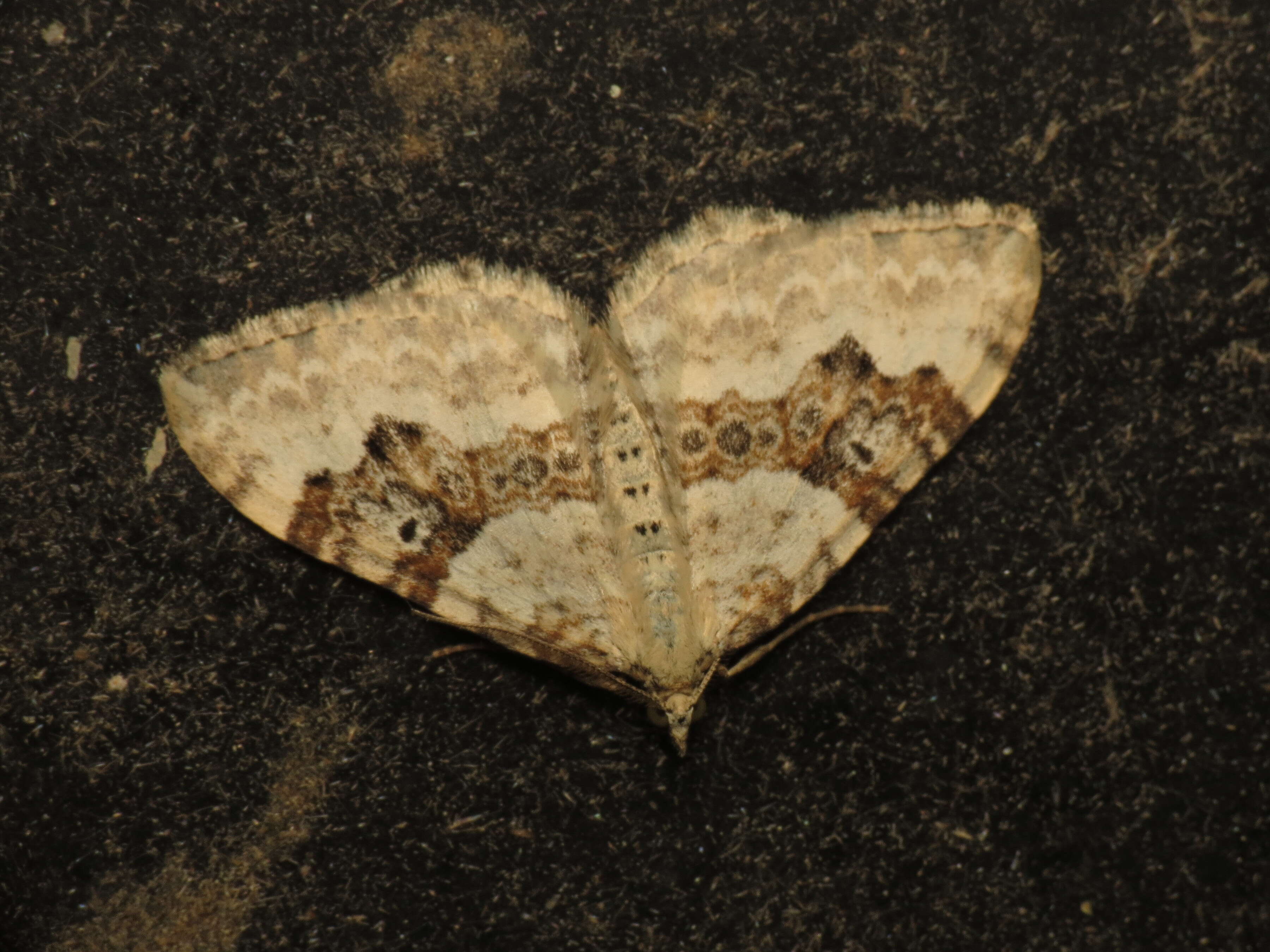 Image of silver-ground carpet