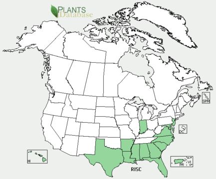 <span class="translation_missing" title="translation missing: en.medium.untitled.map_image_of, page_name: rough Mexican clover">Map Image Of</span>