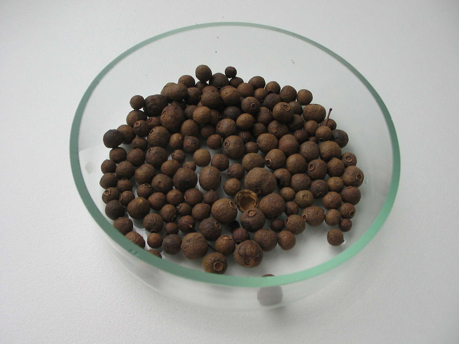 Image of Allspice