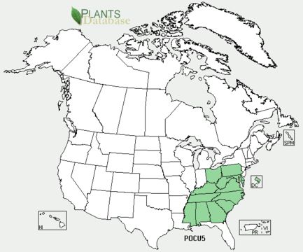 <span class="translation_missing" title="translation missing: en.medium.untitled.map_image_of, page_name: <i>Polygala curtissii</i> A. Gray">Map Image Of</span>