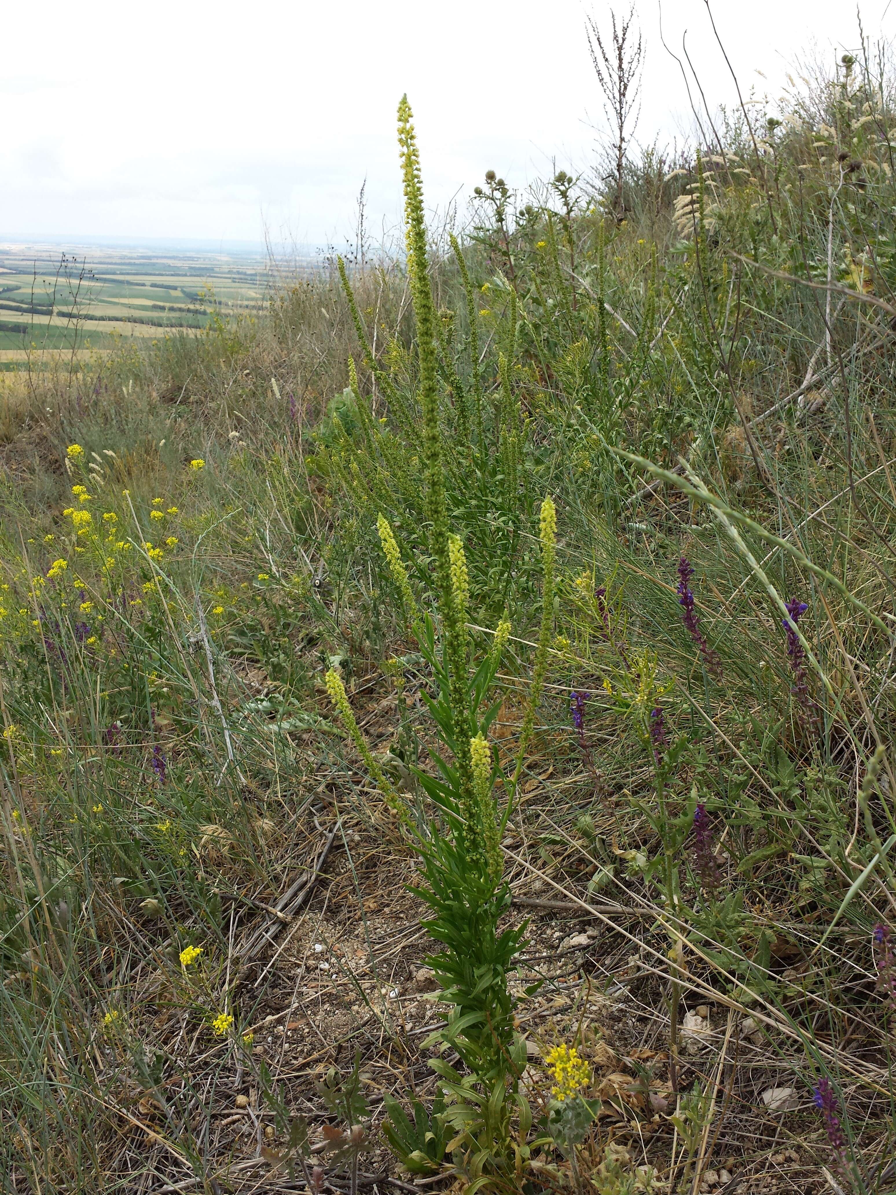 Image of weld