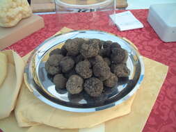 Image of Black Périgord Truffle