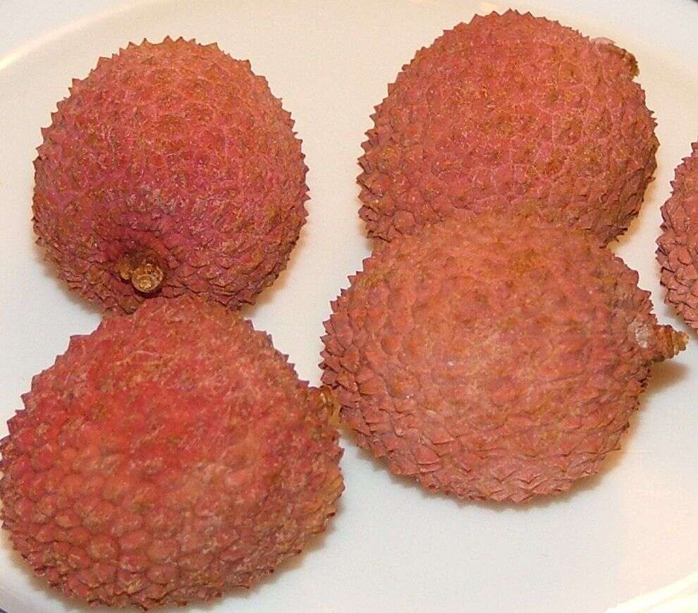 Image of lychee