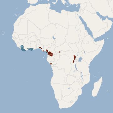 <span class="translation_missing" title="translation missing: en.medium.untitled.map_image_of, page_name: Zenker's Fruit Bat">Map Image Of</span>