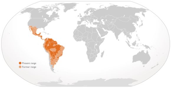 509.10389837.580x360