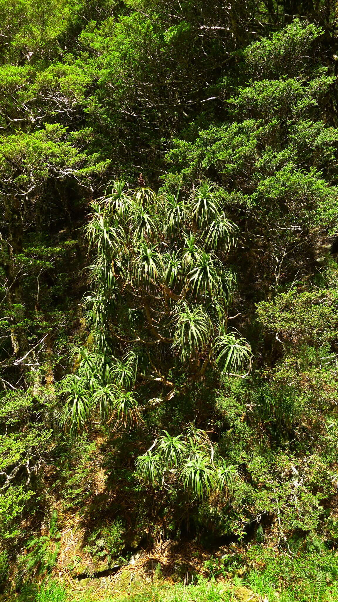 Image of mountain neinei