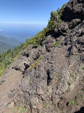 Image of Olympic Mountain rockmat