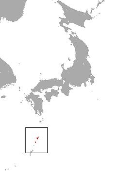 Image of Amami Shrew