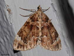 Image of Dark Marbled Carpet