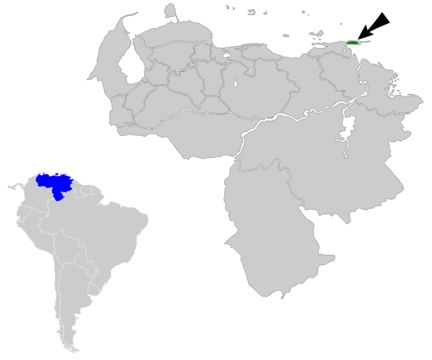 Image of Paria Redstart