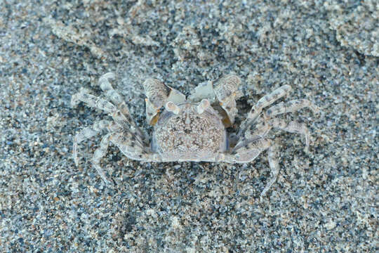 Image of Sand Bubbler