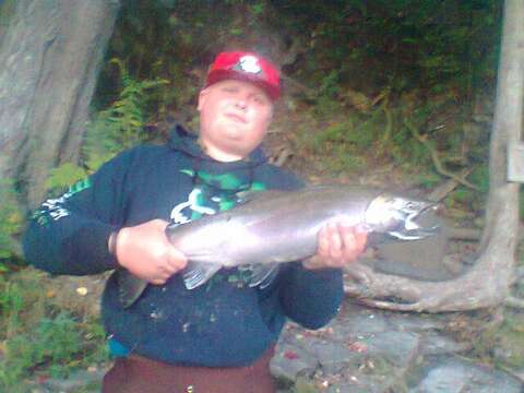 Image of Coho Salmon