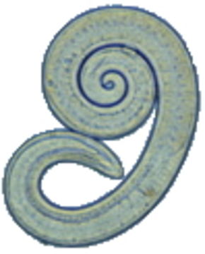 509.1695304.580x360