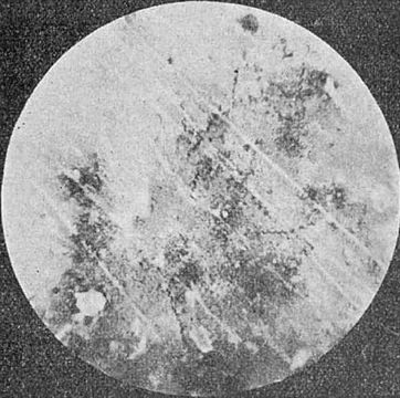 Image of chupalo