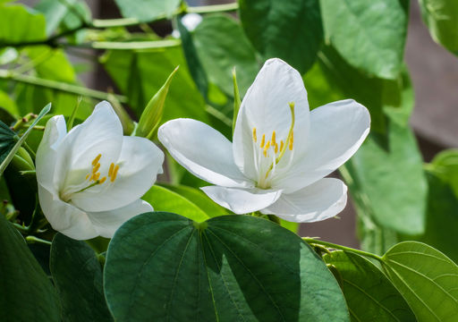509.21015780.580x360
