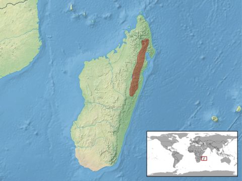 509.23770757.580x360