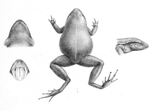 509.24292091.580x360
