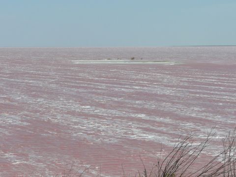 509.25479443.580x360