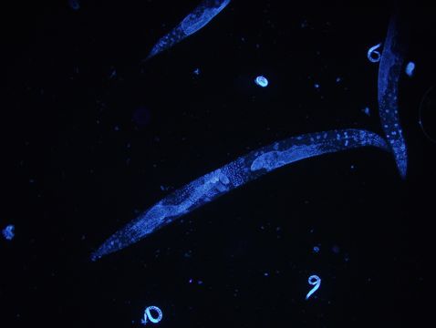 509.29967512.580x360