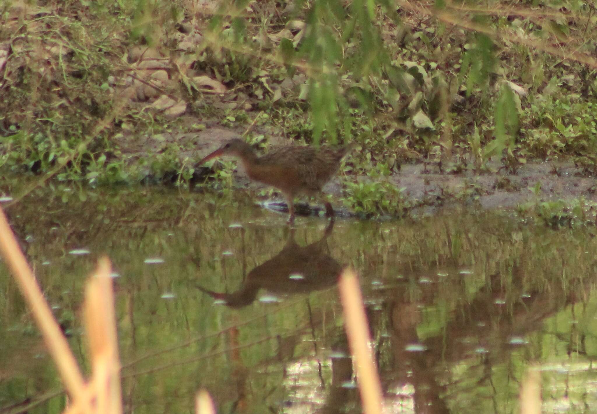 Image of Aztec Rail