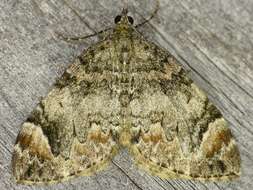 Image of Dark Marbled Carpet