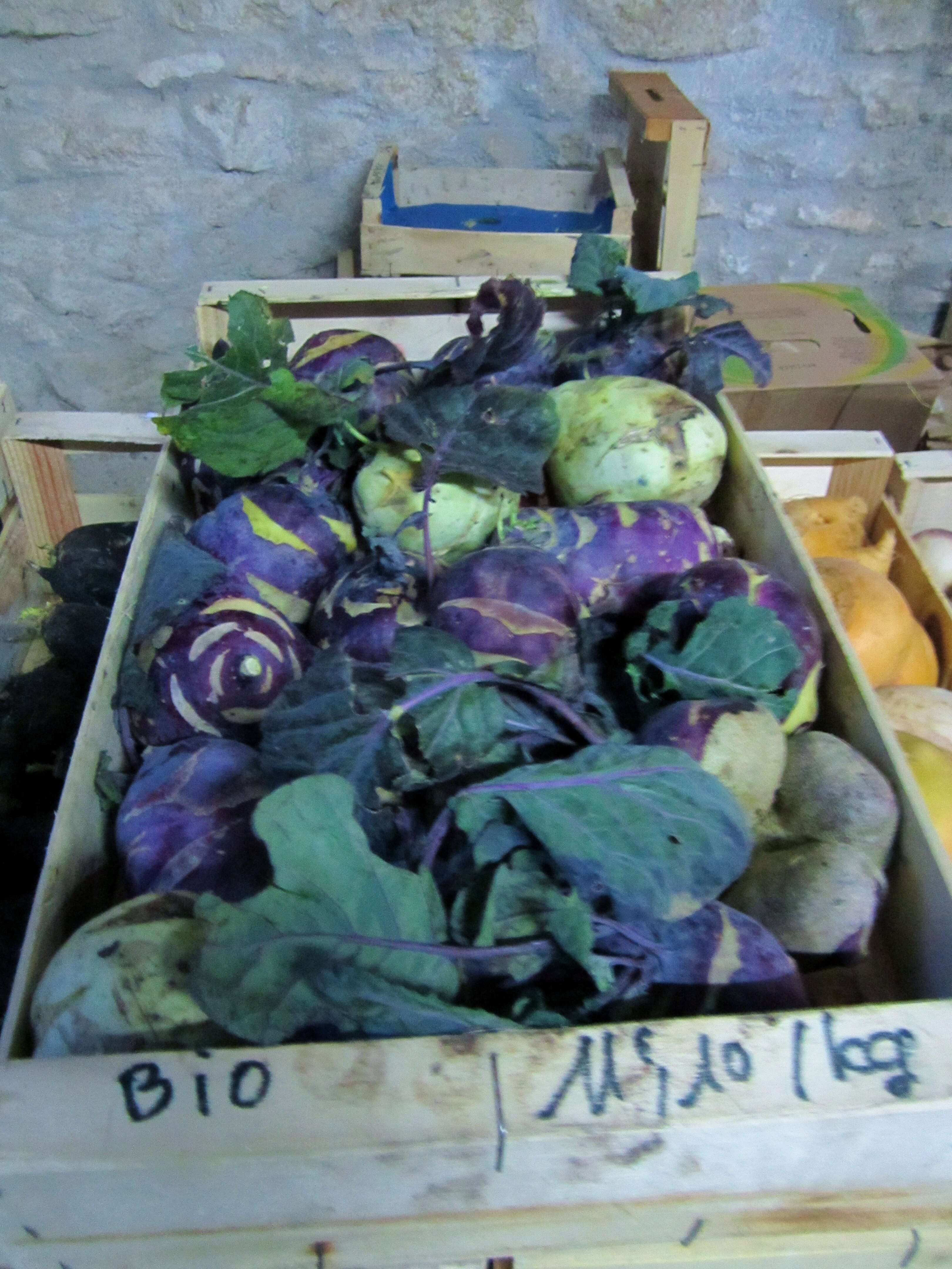 Image of kohlrabi