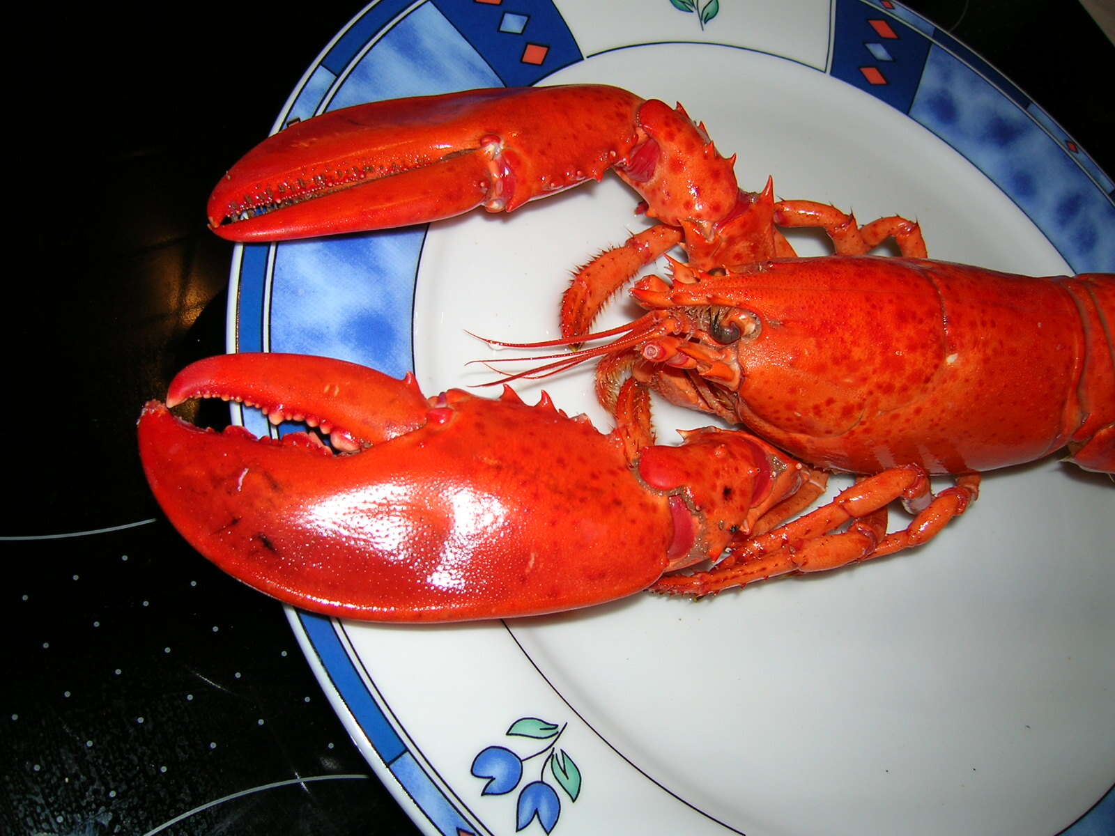 Image of True Lobsters