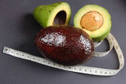 Image of avocado