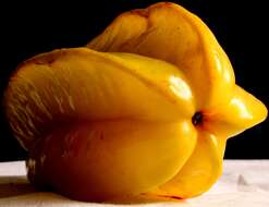 Image of carambola