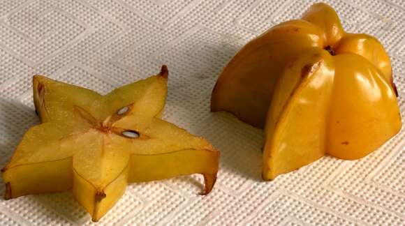 Image of carambola